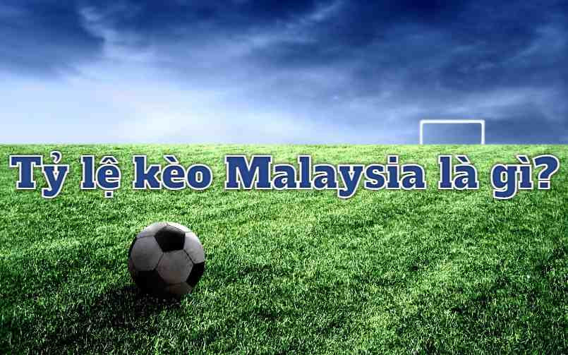Hướng dẫn người chơi tính tỷ lệ kèo Malaysia